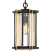 Image de QUOIZEL Suspension Goldenrod pour l'extérieur