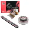 Image de Fai Autoparts TCK124VVT - Kit de distribution par chaîne
