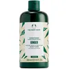 Image de The Body Shop Ginger Scalp Care Après-shampooing pour Cuir chevelu Sec et Cheveux fragiles, végétalien (après-shampooing au Gingembre 400 ML)