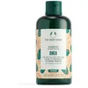 Image de THE BODY SHOP Shea Intense Repair Shampoo For Dry to Very Dry Hair 250 ml