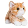 Image de Aurora, 60467, MiYoni Tots Chat Tigré 20cm, Peluche, Roux, 60467.0, Orange