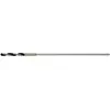 Image de Foret de coffrage DEWALT 10x600 mm DT4872-QZ