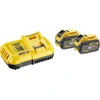 Image de DCB118X2-QW batterie et chargeur d'outil électroportatif Chargeur de batterie