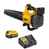 Image de Souffleur XR 18V DEWALT DCMBL562P1-QW 5Ah Li-Ion Brushless