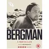 Image de Bergman: A Year in a Life (DVD)