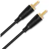 Image de Câbles caisson de basses QED Connect Subwoofer (6 m)
