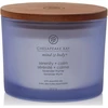 Image de Chesapeake Bay Candle - Bougie Parfumée Serenité & Calme OS