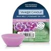 Image de Yankee Candle Cire fondue à l'orchidée sauvage