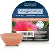 Image de Yankee Candle Tropical Breeze Cire fondue