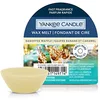 Image de Yankee Candle Banoffee Cire à gaufres