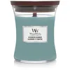 Image de WoodWick Evergreen Cashmere Medium Candle