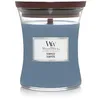 Image de WoodWick - Tempest Medium Candle