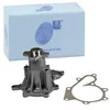 Image de Blue Print ADN19188C Pompe eau