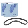 Image de Blue Print ADV187504 Courroie de distribution