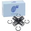 Image de Blue Print Adn13913 Arbre UJ