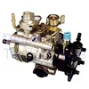 Image de DELPHI 8921A080W Pompe à injection