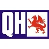 Image de QUINTON HAZELL BDC5502 2x Disque de frein Arrière Ø264mm Hauteur: 40,6mm Épaisseur: 10mm Cercle de percage -Ø: 100mm Plein Compatible avec OPEL Corsa E 3/5 portes X15 Adam M13, FIAT