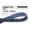 Image de Quinton Hazell QBR81786 - Courroie trapézoïdale à nervures