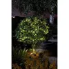 Image de Guirlande solaire Luciole - SMARDTV - Blanc chaud - 100 leds - 119 m