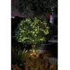 Image de Guirlande solaire extérieure LUCIOLE 200 leds blanc chaud - SMART GARDEN - 21.9m