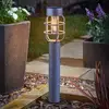 Image de SMART GARDEN Lampe sur piquet LED Anglia, lot de 2, anthracite, IP44