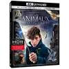 Image de Les Animaux Fantastiques Blu-ray 4K Ultra HD en occasion ou reconditionné