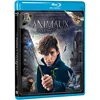 Image de Les Animaux fantastiques - Le monde des Sorciers de J.K. Rowling - Blu-ray