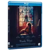 Image de Wonder Wheel Blu-ray en occasion ou reconditionné
