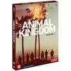 Image de Animal Kingdom Saison 1 DVD en occasion ou reconditionné