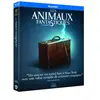 Image de Les Animaux fantastiques [Blu-ray]