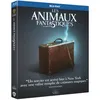 Image de Les Animaux fantastiques Blu-ray en occasion ou reconditionné