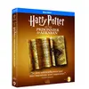 Image de Harry Potter et le prisonnier d'Azkaban [Blu-ray]