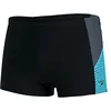 Image de Speedo pour des Hommes Dive Aquashort