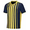 Image de Mizuno G Shirt Shima M T-Shirt pour Homme, Homme, T-Shirts, P2FA9A01, Bleu Marine, Jaune, L