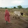 Image de Stalawa in East Africa