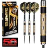 Image de RED DRAGON Fléchettes   Golden Eyes   Jeu de fléchettes Professionnelles 85% tungstène 24 g avec ailettes et tiges