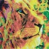 Image de Crystal Art Crystal Art - Kit Broderie Diamant - Lion