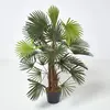 Image de HOMESCAPES Palmier bambou vert Palm Lady, grandes feuilles, en pot 90 cm