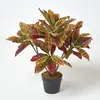 Image de HOMESCAPES Croton rouge plante rouge et jaune artificielle en pot, 65 cm