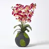 Image de HOMESCAPES Grande Orchidée Artificielle Rose en Motte Effet Mousse 60 cm