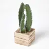 Image de HOMESCAPES Cactus Cierge Artificiel en Pot carré en Bois MDF 33 cm