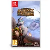 Image de Against the Storm Nintendo Switch