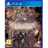 Image de Brigandine