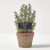 Image de HOMESCAPES Plante Verte Artificielle en Pot Thym, Herbe aromatique Artificielle