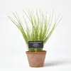 Image de HOMESCAPES Plante Verte Artificielle en Pot Ciboulette, Herbe aromatique Artificielle