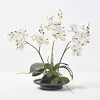 Image de HOMESCAPES Orchidée Artificielle Blanche dans Un Bol en céramique Noir, Fleurs artificielles déco 38 cm
