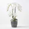 Image de HOMESCAPES Grande Orchidée Artificielle Blanche en Pot en céramique foncé, Fleurs artificielles déco 82 cm