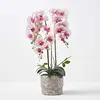 Image de HOMESCAPES Orchidée Artificielle Rose en Pot en Ciment Naturel, Fleurs artificielles déco 64 cm