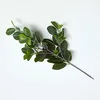 Image de HOMESCAPES Branche arbre à caoutchouc artificielle, Tige artificielle plante tropicale 58 cm