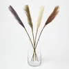 Image de HOMESCAPES Herbe de la pampa artificielle, Lot de 4 fleurs artificielles 78 cm, Décoration d’intérieur